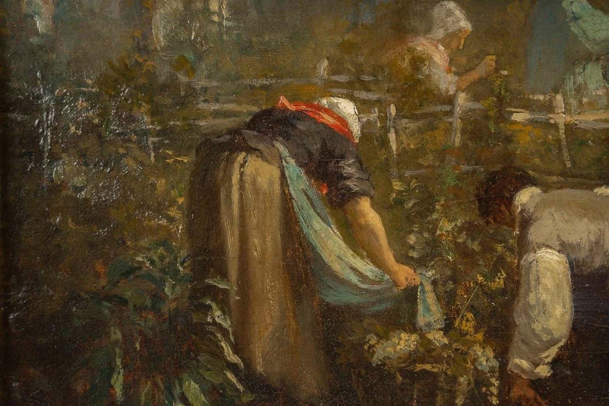 La vendemmia dettaglio